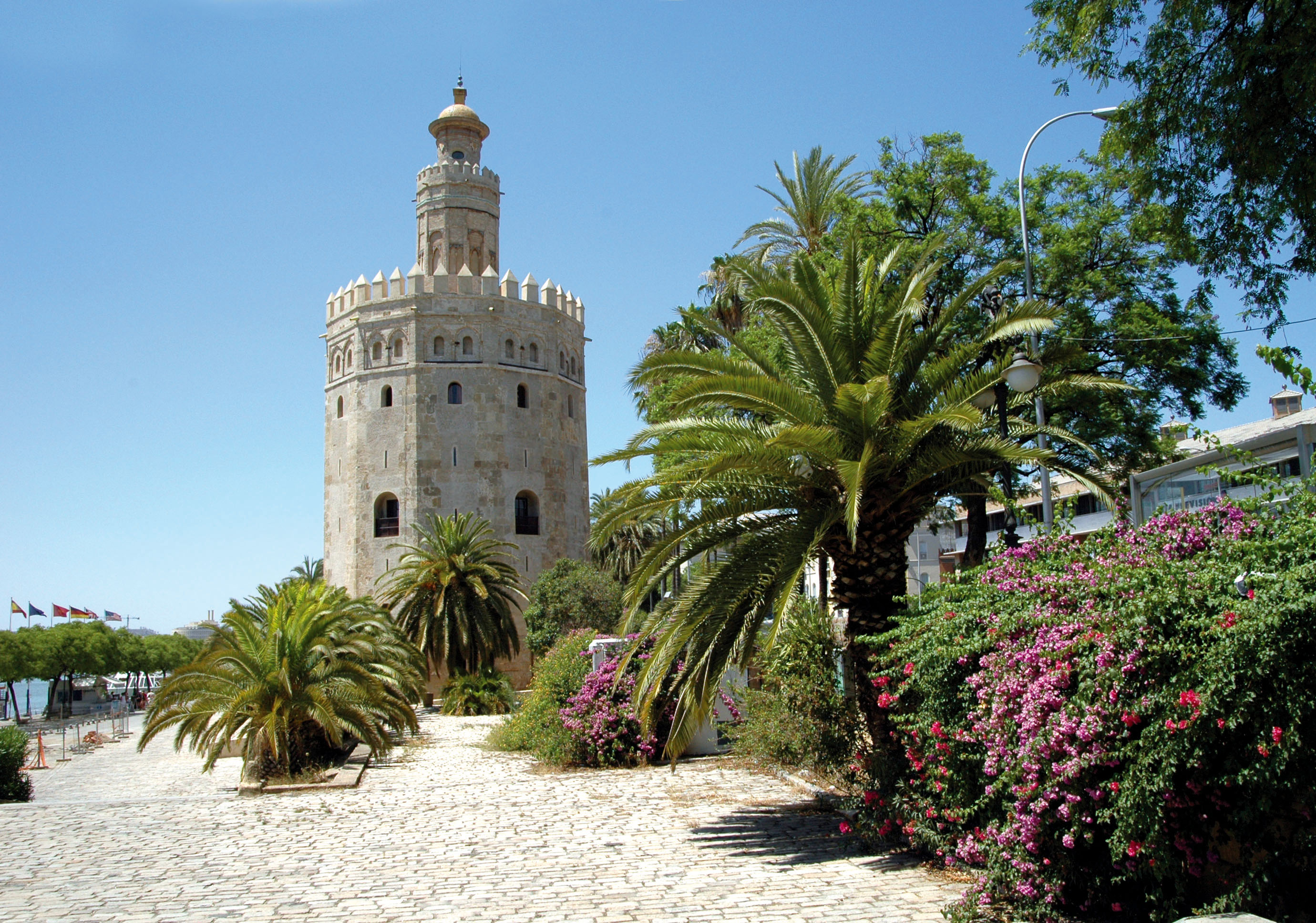 Afficher limage dorigine